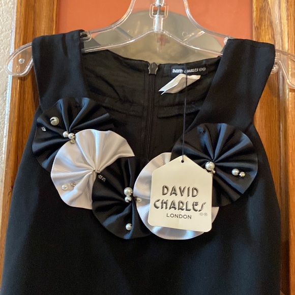 NWT David Charles London Magic Satin Rosette Dress - Picture 5 of 12